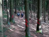 Blick auf die Wanderstrecke 